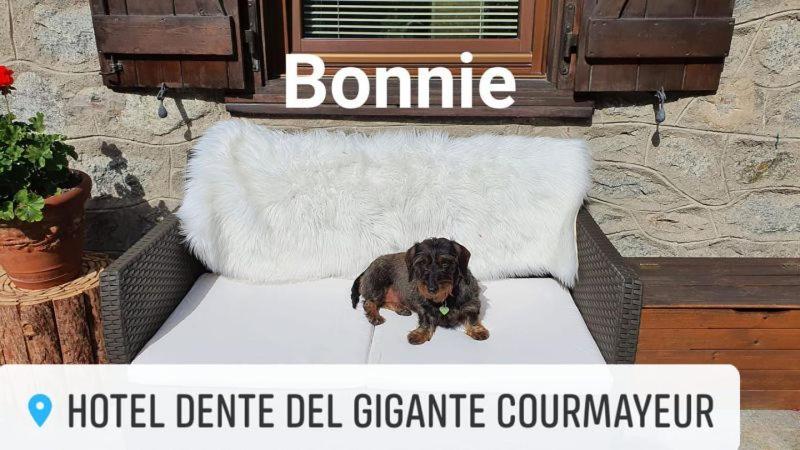 Hotel Dente Del Gigante
